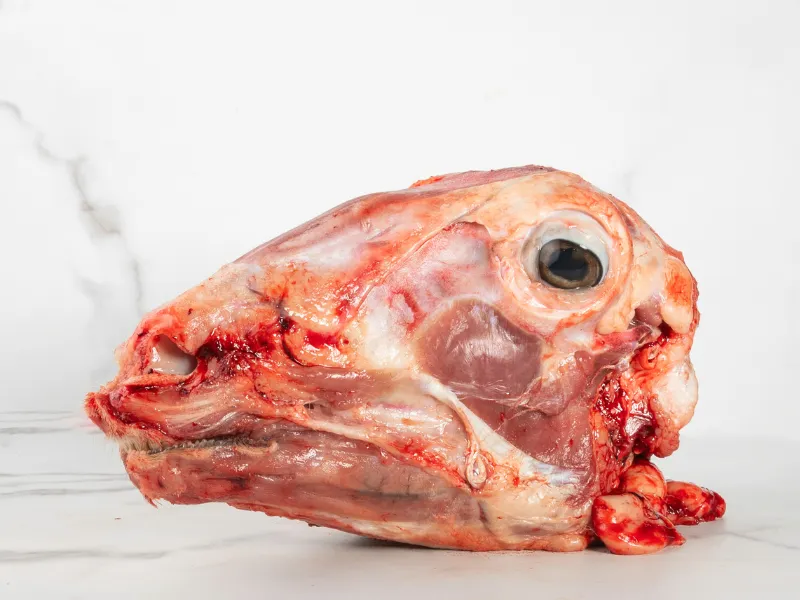 Cabeza de Cordero halal - Tienda de Carne Halal Online 1 Cabeza de Cordero halal - Tienda de Carne Halal Online 1