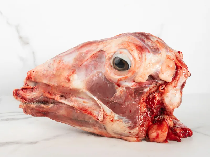 Cabeza de Cordero halal - Tienda de Carne Halal Online (2) Cabeza de Cordero halal - Tienda de Carne Halal Online 1