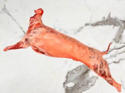 Cordero halal entero - tienda de venta de carne halal online