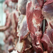 carne al mayor para restaurantes carne al mayor para restaurantes